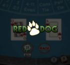Playing Red Dog